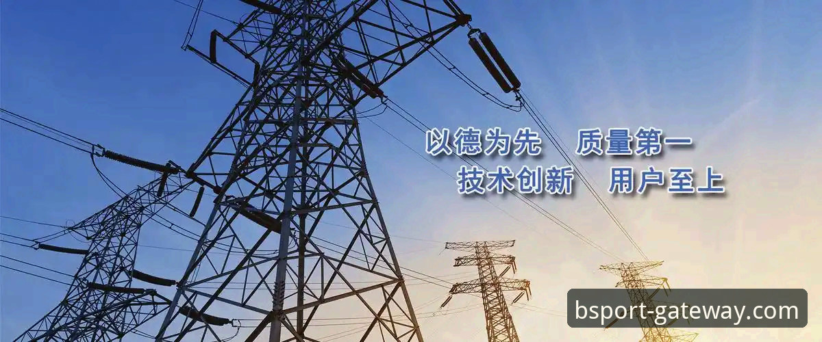 BS体育平台功能详解：bsport体育官方在线平台使用指南