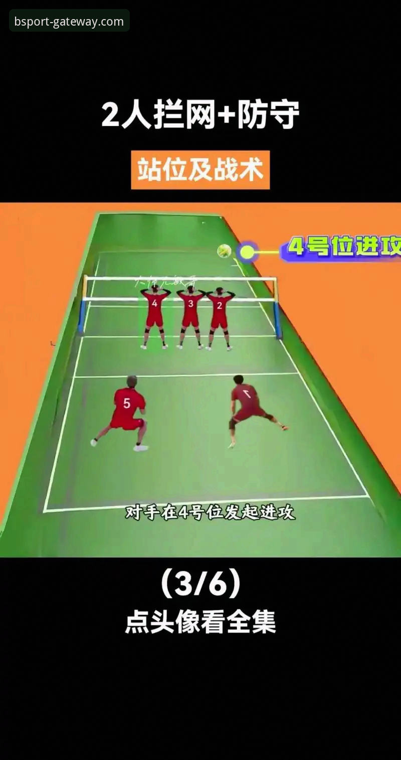 BS体育平台最新动态：bsport网页版怎么进攻略全解析，新手小白秒变高手